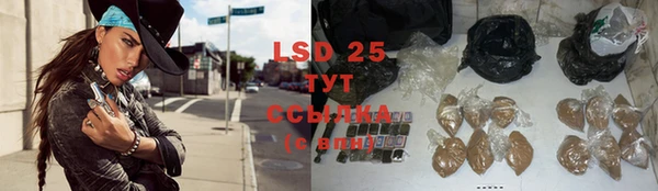 сатива Вяземский