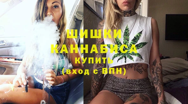 дживик Вязьма