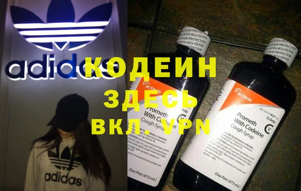 ECSTASY Алзамай