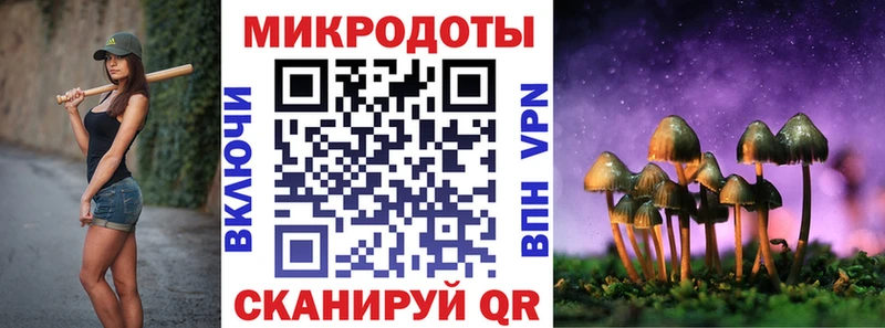 Псилоцибиновые грибы прущие грибы  Трёхгорный 